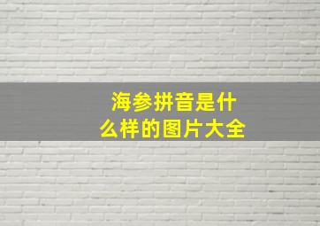 海参拼音是什么样的图片大全