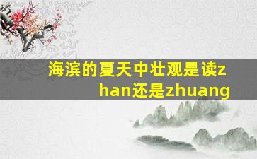 海滨的夏天中壮观是读zhan还是zhuang