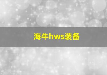 海牛hws装备