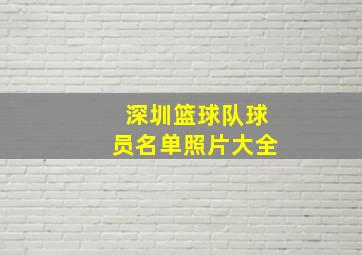 深圳篮球队球员名单照片大全