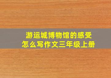 游运城博物馆的感受怎么写作文三年级上册