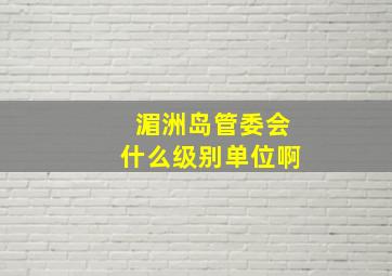 湄洲岛管委会什么级别单位啊