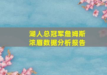 湖人总冠军詹姆斯浓眉数据分析报告