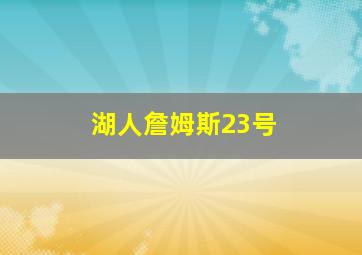 湖人詹姆斯23号