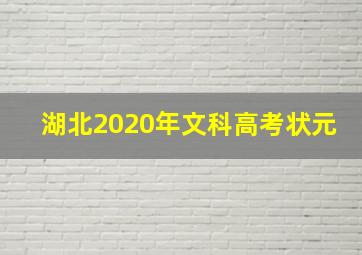 湖北2020年文科高考状元