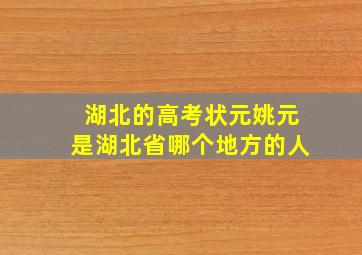 湖北的高考状元姚元是湖北省哪个地方的人