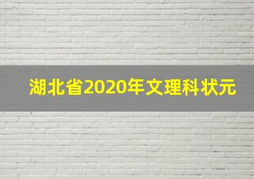 湖北省2020年文理科状元