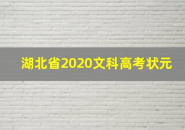 湖北省2020文科高考状元