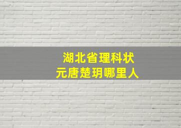 湖北省理科状元唐楚玥哪里人