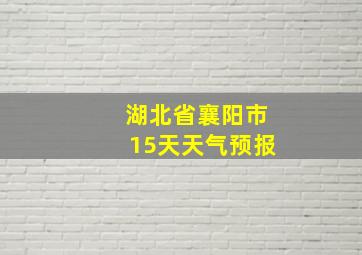 湖北省襄阳市15天天气预报