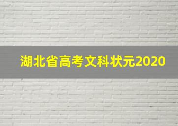 湖北省高考文科状元2020