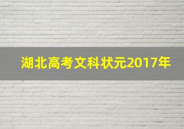 湖北高考文科状元2017年