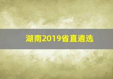 湖南2019省直遴选