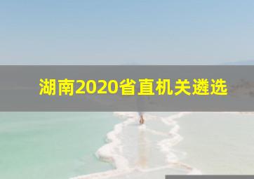 湖南2020省直机关遴选