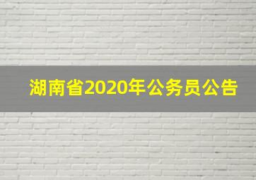 湖南省2020年公务员公告