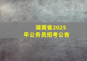 湖南省2025年公务员招考公告