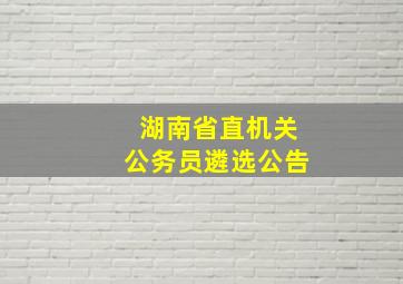 湖南省直机关公务员遴选公告