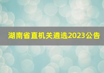 湖南省直机关遴选2023公告