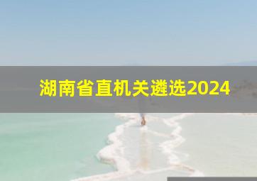 湖南省直机关遴选2024