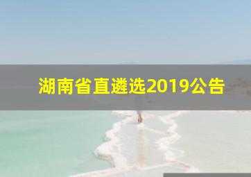 湖南省直遴选2019公告