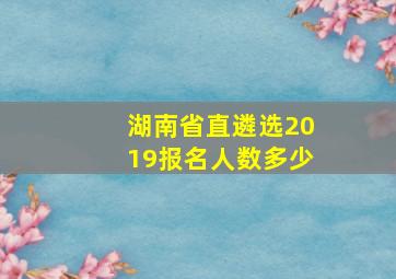 湖南省直遴选2019报名人数多少