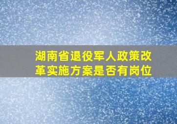 湖南省退役军人政策改革实施方案是否有岗位