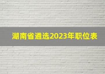 湖南省遴选2023年职位表