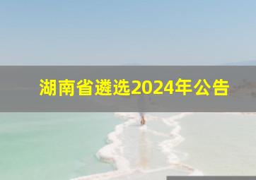 湖南省遴选2024年公告