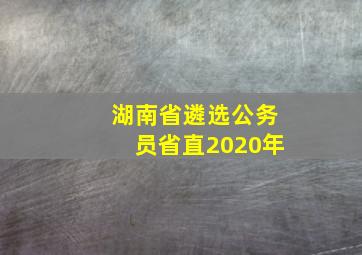 湖南省遴选公务员省直2020年