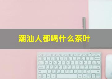 潮汕人都喝什么茶叶