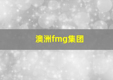 澳洲fmg集团