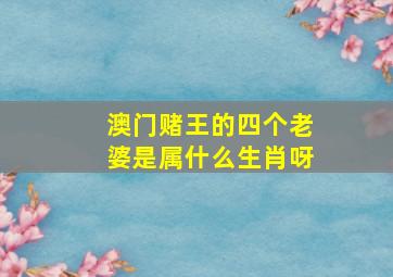 澳门赌王的四个老婆是属什么生肖呀