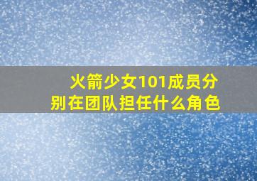 火箭少女101成员分别在团队担任什么角色