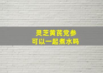 灵芝黄芪党参可以一起煮水吗