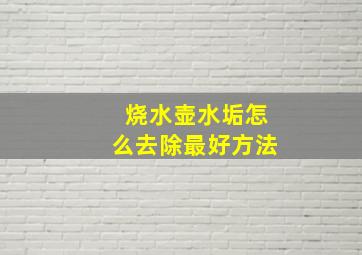 烧水壶水垢怎么去除最好方法