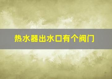 热水器出水口有个阀门