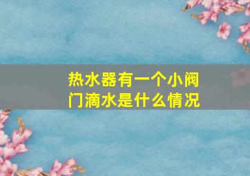 热水器有一个小阀门滴水是什么情况