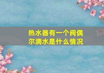 热水器有一个阀偶尔滴水是什么情况