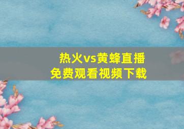 热火vs黄蜂直播免费观看视频下载