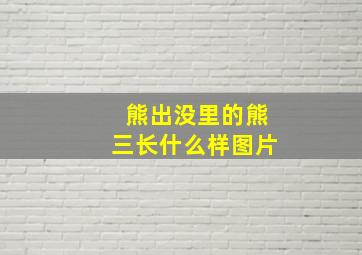 熊出没里的熊三长什么样图片