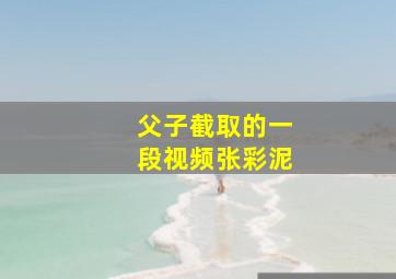 父子截取的一段视频张彩泥