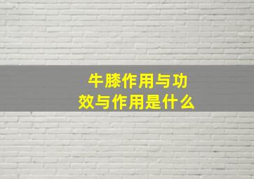 牛膝作用与功效与作用是什么