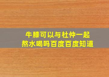 牛膝可以与杜仲一起熬水喝吗百度百度知道