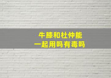 牛膝和杜仲能一起用吗有毒吗