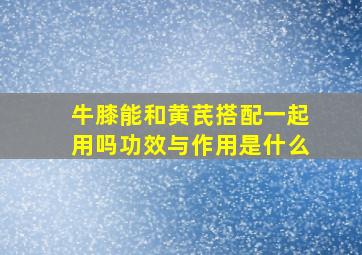 牛膝能和黄芪搭配一起用吗功效与作用是什么