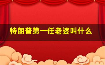 特朗普第一任老婆叫什么