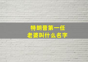 特朗普第一任老婆叫什么名字