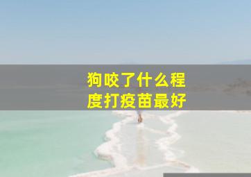 狗咬了什么程度打疫苗最好