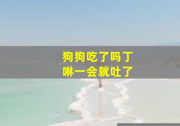 狗狗吃了吗丁啉一会就吐了