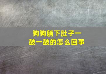 狗狗躺下肚子一鼓一鼓的怎么回事